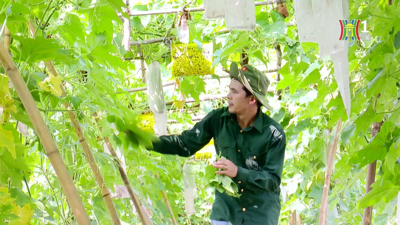 Nông nghiệp Thủ đô – bước tiếp chặng đường mới | Phóng sự tài liệu | 01/04/2025