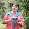 Thanh Hồng