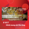 Mênh mang sắc thu vàng