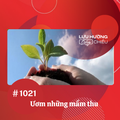 Ươm những mầm thu