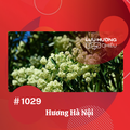 Hương Hà Nội