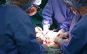 Chết tim cũng có thể hiến tạng