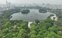 Hà Nội không thay thế cây xanh đồng loạt