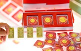 Tổng quan thị trường sáng ngày 14/10
