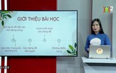 Ôn thi môn Ngữ Văn: Nghị luận về một đoạn trích ký và kịch