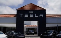 Tesla giảm gần 90% doanh số ở châu Âu