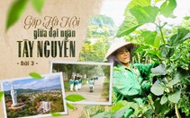Bài cuối: Một vùng đất nhớ của Thủ đô