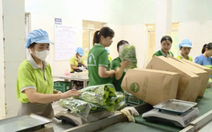 Chuyển đổi số | Chuyện ở ngoại thành | 02/10/2025