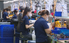Nền tảng chuyển đổi số thuần Việt | Tự hào hàng Việt Nam | 25/10/2025