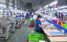 Kiểm toán năng lượng: giải pháp toàn diện cho doanh nghiệp | Tiết kiệm năng lượng | 15/11/2025