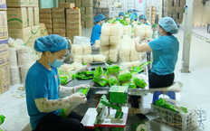 Lợi thế để Hà Nội đẩy mạnh sản phẩm OCOP | Chuyện ở ngoại thành | 22/11/2025