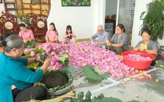 Phát triển các mô hình nông nghiệp đa giá trị | Chuyện ở ngoại thành | 20/12/2025