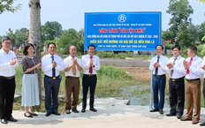Triển khai thực hiện nghị quyết gắn với thực tế cuộc sống | Hướng tới Đại hội Đảng | 19/12/2025