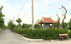 Làng hạnh phúc | Vườn đô thị | 28/09/2025