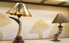 Đèn trang trí chất liệu sừng | Made in Hanoi | 16/01/2026