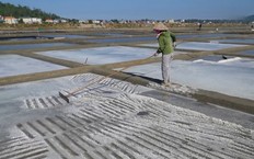 Điểm đến du lịch Quảng Ngãi | Trăm miền hội tụ | 30/01/2026