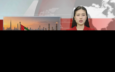 UAE rút khỏi OPEC, OPEC+: Cú sốc địa chính trị năng lượng | Nhìn ra thế giới | 29/04/2026