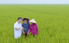 Thay đổi kỹ thuật canh tác - Kiến tạo giá trị xanh | Chuyển đổi xanh | 13/06/2026