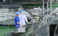 Chuyển đổi số trong doanh nghiệp, thay đổi để thành công | Chuyển đổi số | 02/07/2026