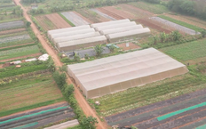 Nông dân chung tay xây dựng nông thôn xanh | Nông nghiệp nông thôn | 16/07/2026
