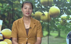 Chọn đi con đường khó | Con đường doanh nhân | 09/08/2026