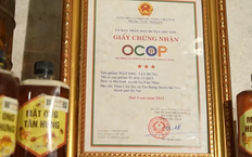 Mật ong Tân Hưng | Mỗi xã một sản phẩm | 10/08/2026