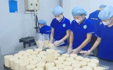Thư Lâm phát triển nông nghiệp tiến tới mô hình xã xã hội chủ nghĩa | Nông nghiệp nông thôn | 06/08/2026