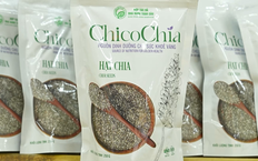 Nông sản Hà Nội trước cơ hội chinh phục thị trường Halal | Góc nhìn Hà Nội | 28/08/2026