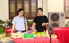 Đẩy mạnh thương mại điện tử trong tiêu thụ nông sản | Chuyển đổi số | 06/08/2026