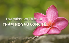 Khí tiết non sông – Thám hoa Vũ Công Tể | Danh nhân Thăng Long - Hà Nội | 07/08/2026