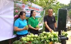 Bình Minh- từ nghị quyết đến thực tiễn  | Chính quyền đô thị | 30/09/2026