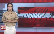 Bản tin 141 | 30/09/2026