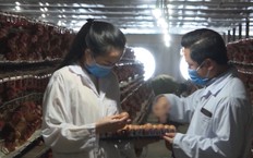 Nông nghiệp Hà Nội trong tiến trình chuyển đổi số | Phóng sự | 11/10/2026