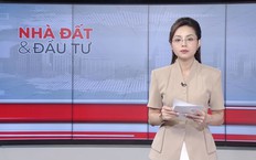 Bản tin Nhà đất và đầu tư | 08/10/2026