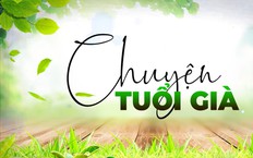 Sống vui tuổi xế chiều, tập gì cho khỏe | Chuyện tuổi già | 11/10/2026