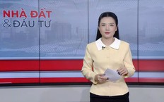 Bản tin Nhà đất và đầu tư | 11/10/2026