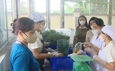 Kiểm soát an toàn bữa ăn bán trú | Giáo dục và đào tạo | 13/10/2026
