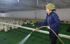 Giảm tác động môi trường trong sản xuất nông nghiệp  | Sản xuất xanh - Năng lượng sạch | 10/10/2026