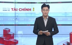 Bản tin Kinh tế Tài chính | 13/10/2026