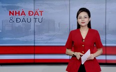 Bản tin Nhà đất và đầu tư | 13/10/2026
