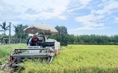Cơ giới hóa nâng cao hiệu quả kinh tế nông thôn | Nông thôn mới Hà Nội | 08/10/206