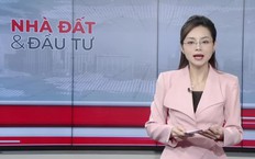Bản tin Nhà đất và đầu tư | 14/10/2026