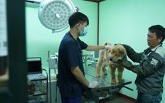 Bác sỹ thú y, từ tình yêu dành cho động vật | Người tốt quanh ta | 16/10/2026