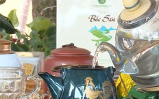 Đậm đà trà mạn Bắc Sơn| Món ngon ở Hà Nội | 15/10/2026