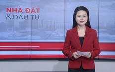 Bản tin Nhà đất và đầu tư | 19/10/2026