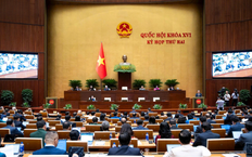 Nhìn lại tuần làm việc đầu tiên của Kỳ họp thứ hai