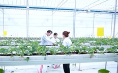 Nâng chất lượng, tăng sức cạnh tranh cho sản phẩm nông nghiệp | Nông nghiệp và Môi trường | 25/10/2026