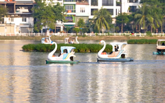 Thư giãn cuối tuần ở Hồ Trúc Bạch | Hà Nội đến để yêu | 27/11/2025