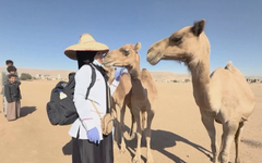Cô gái Yemen mang dịch vụ thú y đến các làng quê