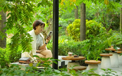 Cà phê xanh trong lòng thành phố